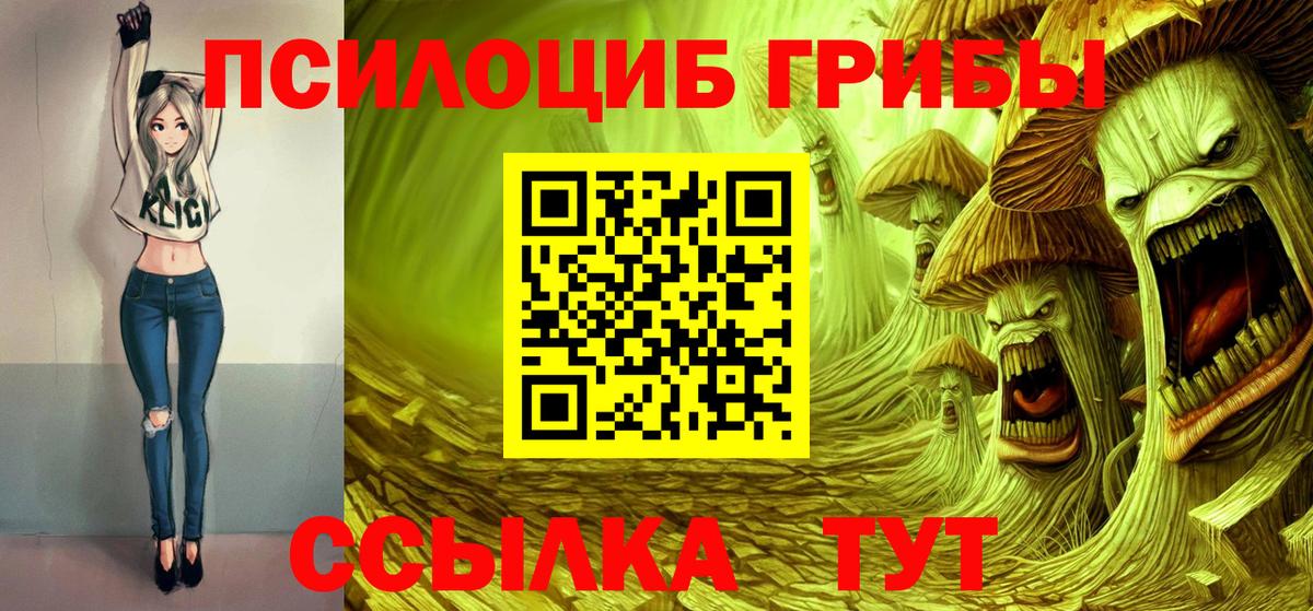 Новотроицк  Галлюциногенные грибы мицелий  Вход с VPN  Галлюциногенные грибы прущие грибы 